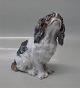 Bing & Grøndahl 
hundefigur B&G 
2035 King 
Charles Spaniel 
15 cm Cavalier 
?  I fin og hel 
stand. 
