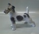 Kgl. figur fra 
Royal 
Copenhagen Hund 
2967 Ruhåret 
Fox terrier 
PL.H 17 cm 1928 
Wirehaired 
Platten ...