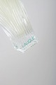 klik for zoom klik for zoom