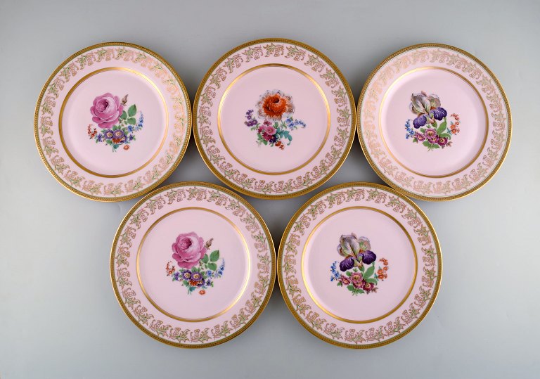 Johann Haviland Bavaria, Germany. Five large decorative plates in hand painted 
porcelain. Flowers on pink background and gold decoration. 1930